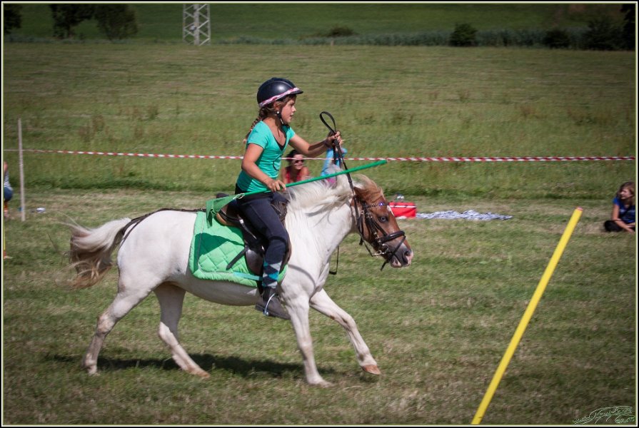 Mounted Games 299